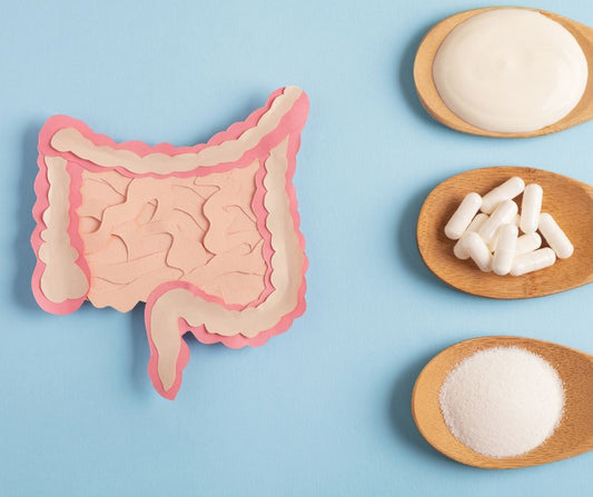 Introducción a un Universo Oculto